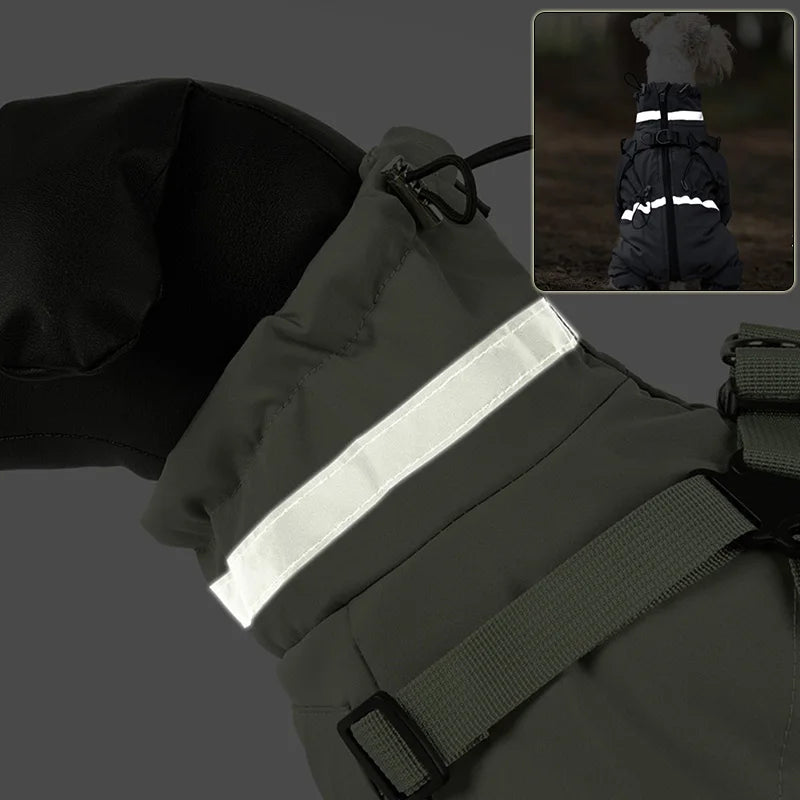 Overall med sele för hund