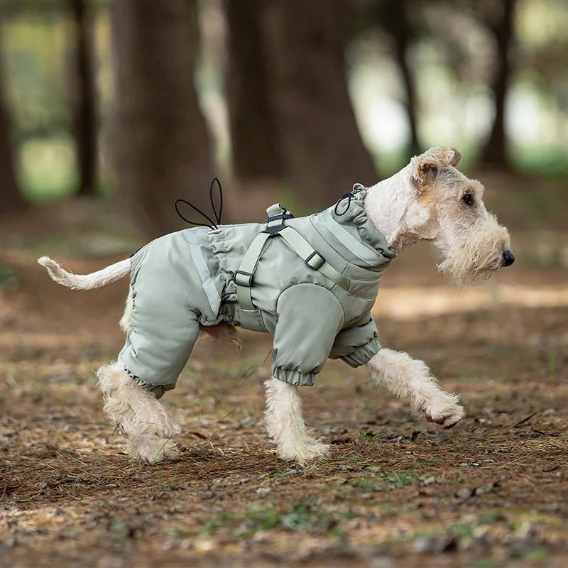 Overall med sele för hund