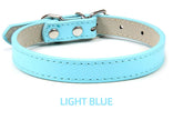 Hundhalsband