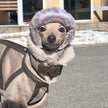 Vinterjacka för hund