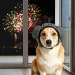 Hörselskydd för hund