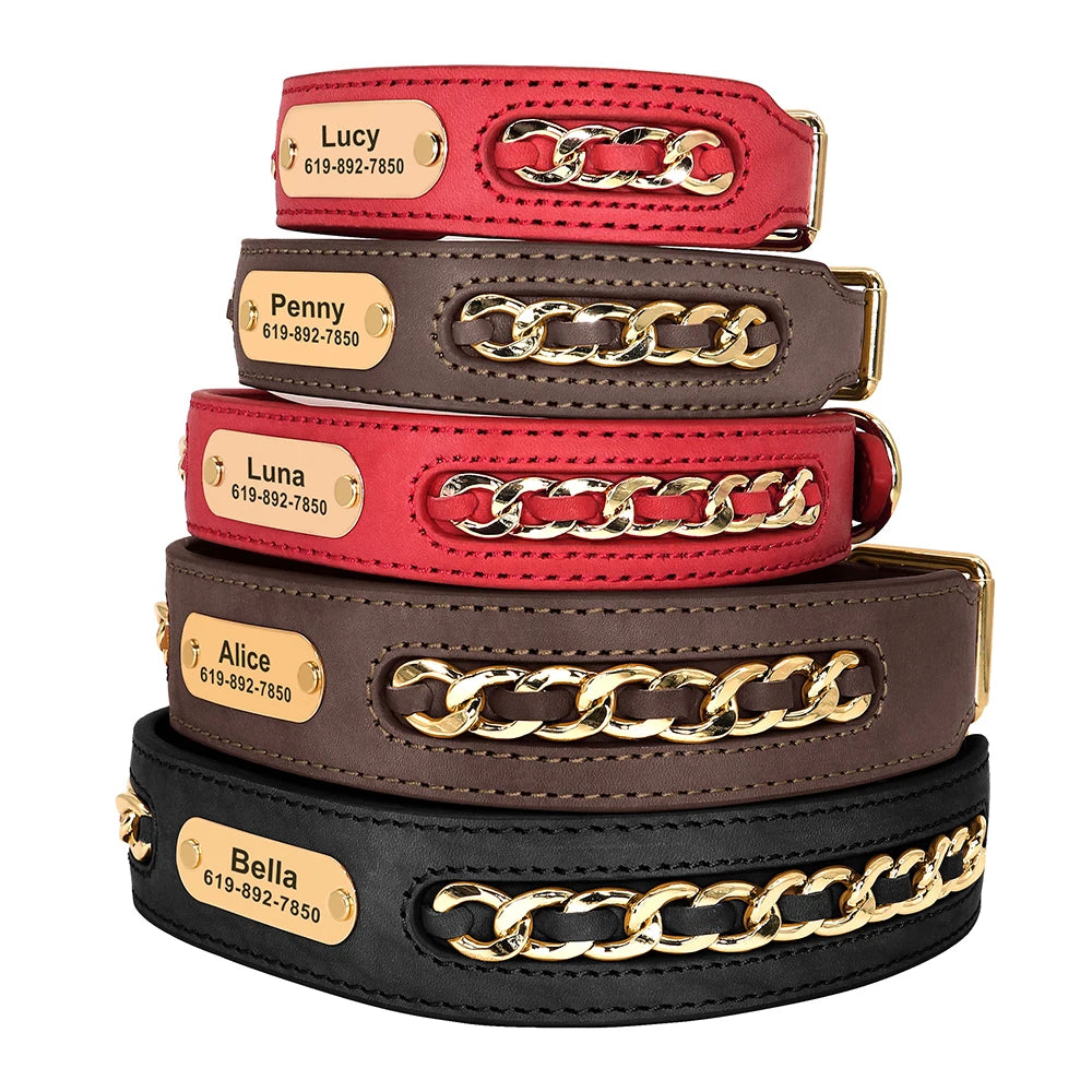 Hundhalsband med kedja