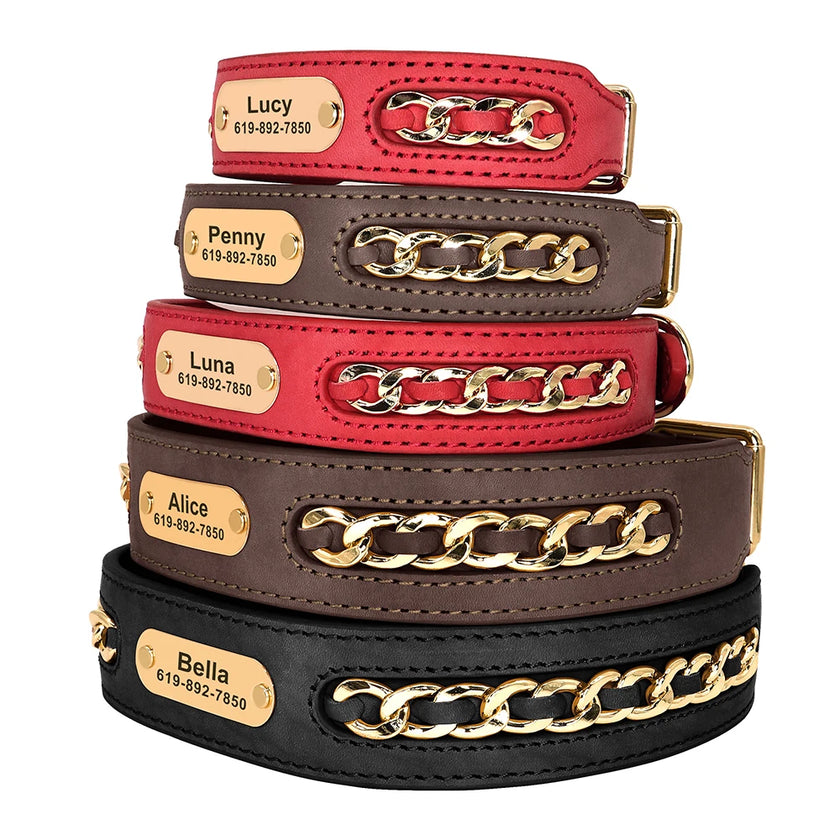 Hundhalsband med kedja