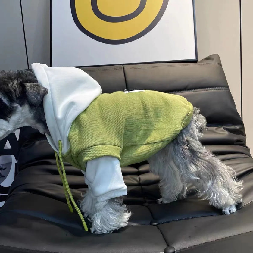 Sweatshirt med luva för hund