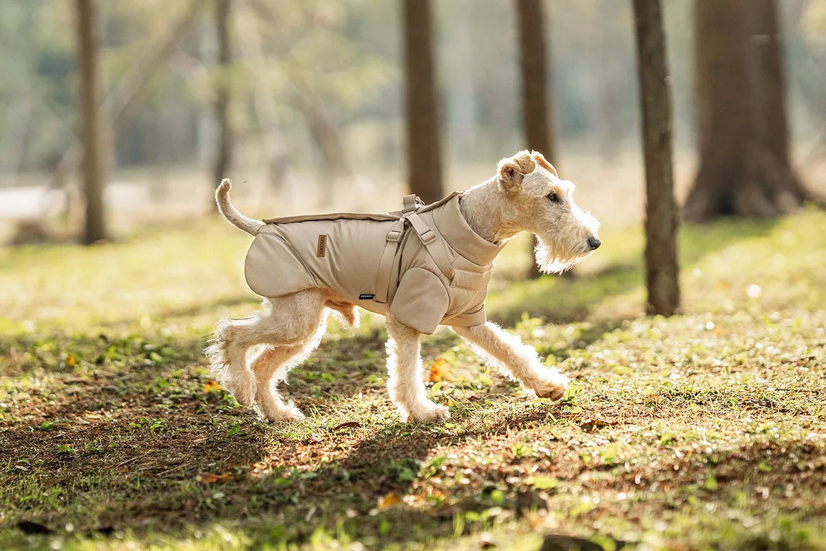 Vinterjacka med sele för hund