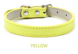 Hundhalsband