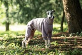 Tracksuit onesie för hund