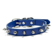 Hundhalsband med spikes