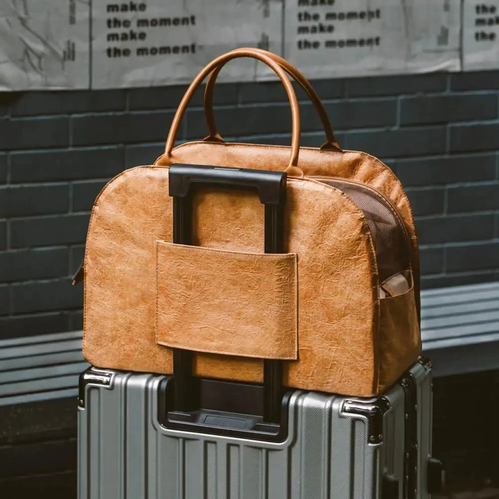 Hundväska för liten hund