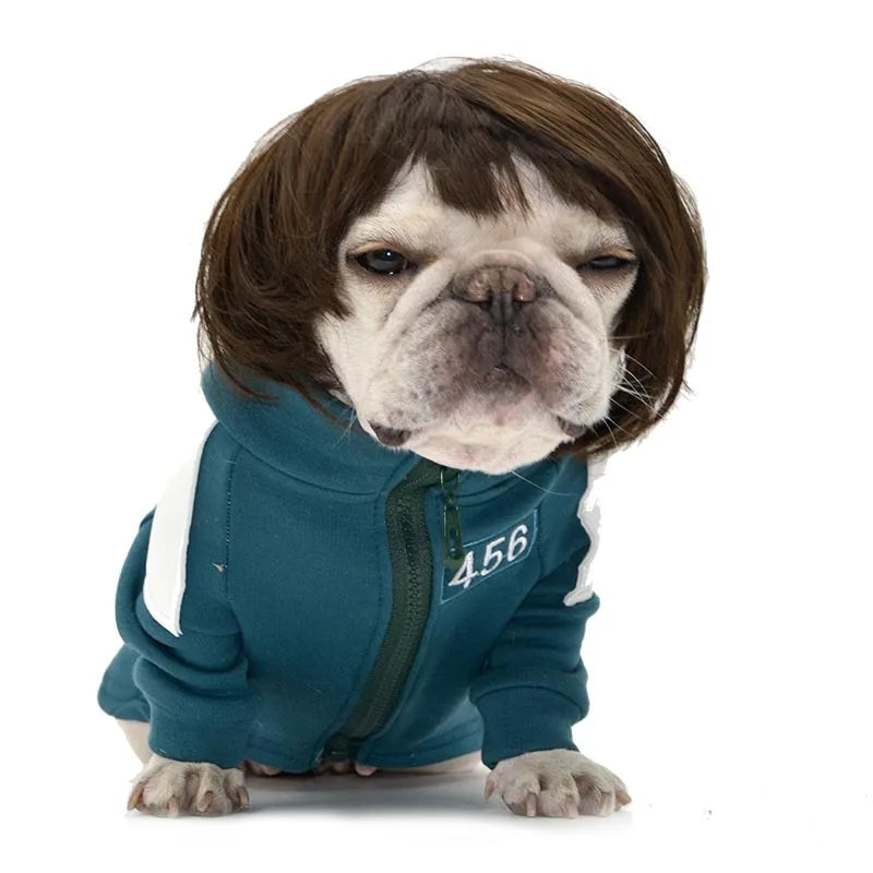 Peruk för hund