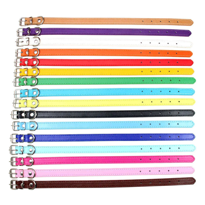 Hundhalsband