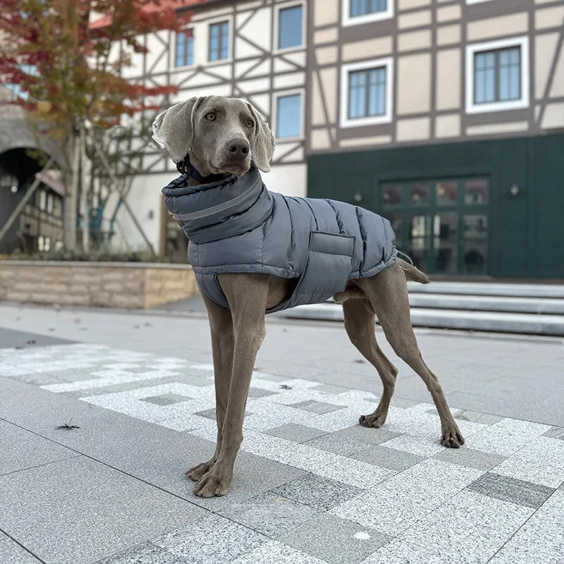 Hundjacka