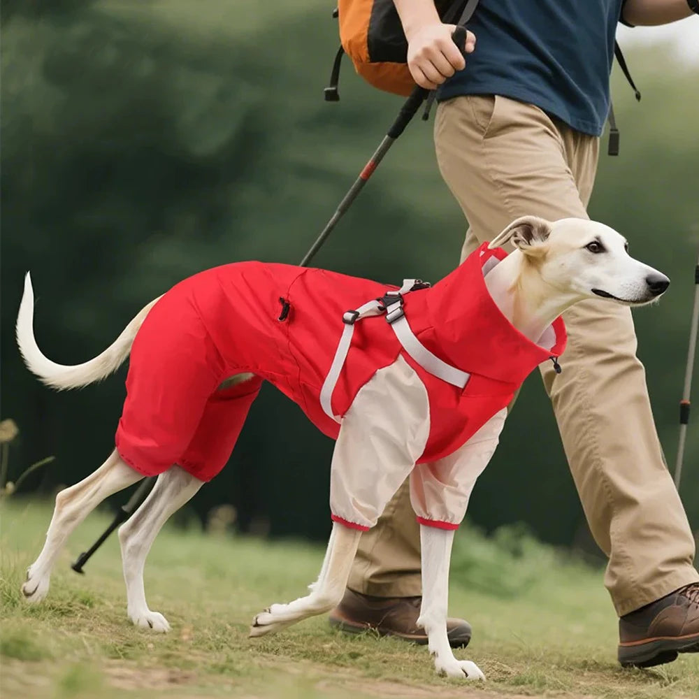 Vattentät overall med sele för hund