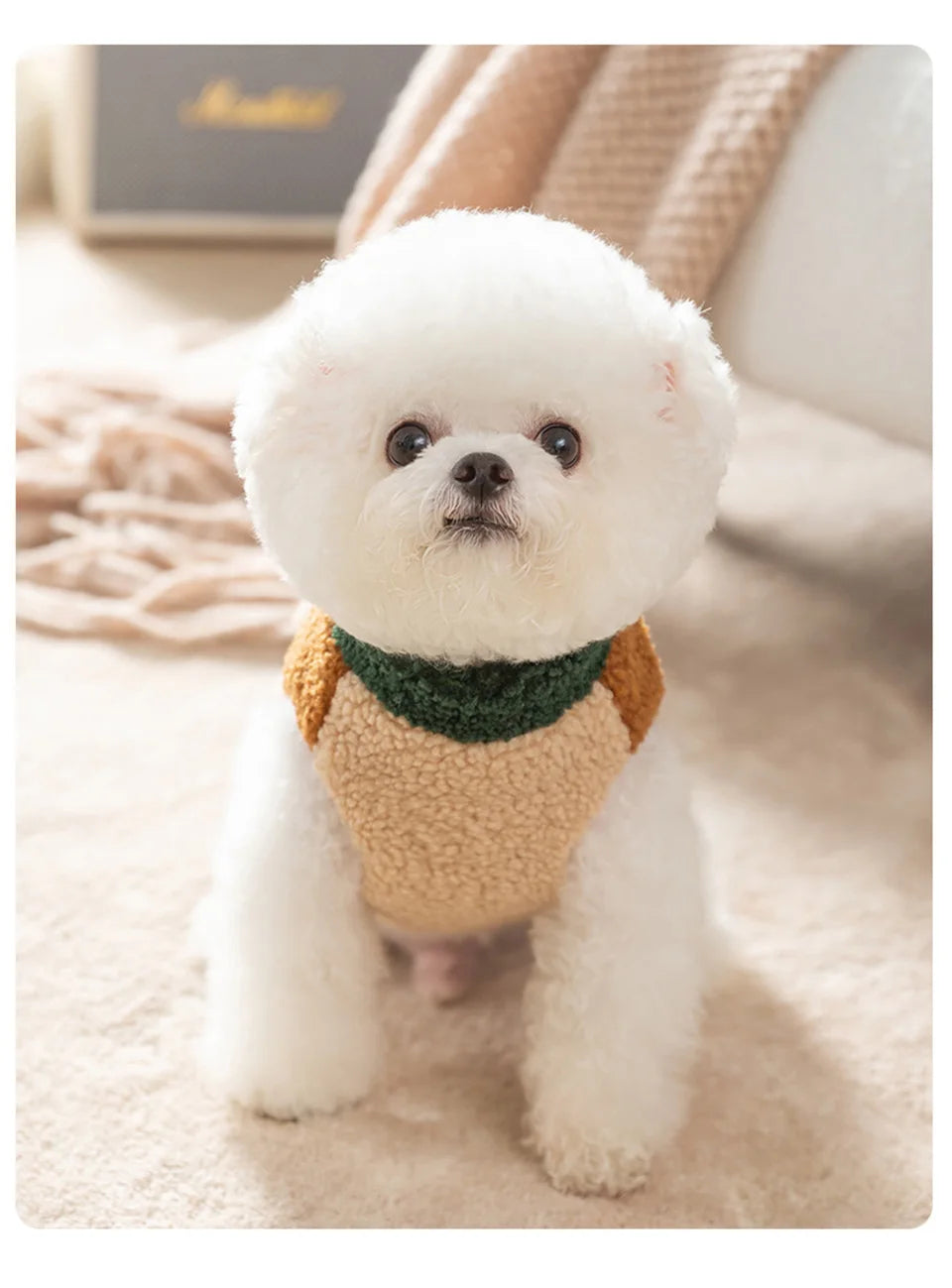 Teddyväst för hund