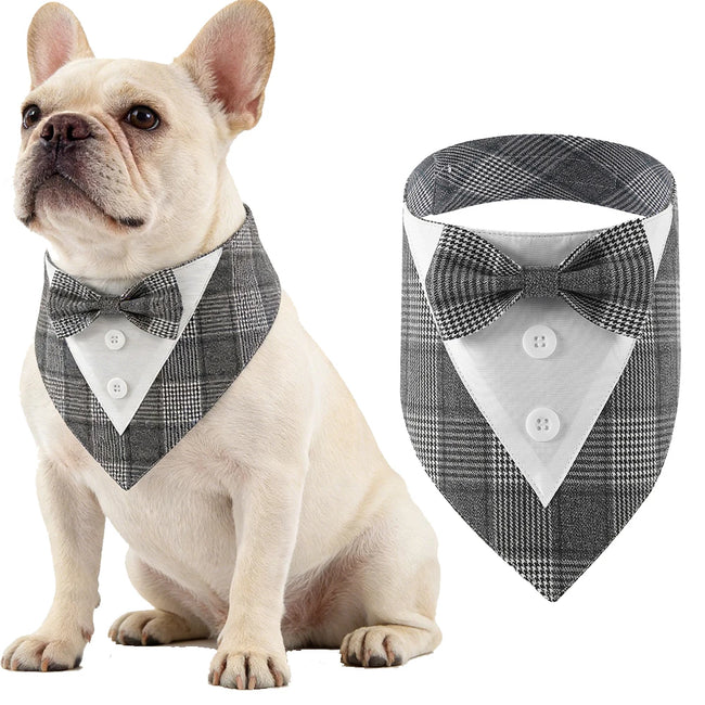 Fluga på krage för hund