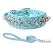 Hundhalsband med spikes
