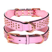 Hundhalsband med nitar