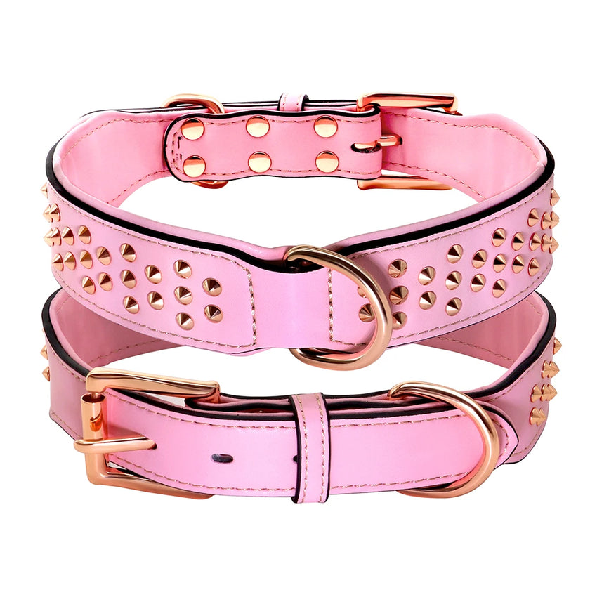 Hundhalsband med nitar