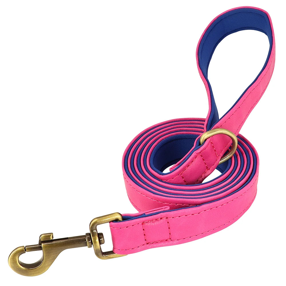 Hundhalsband & koppel