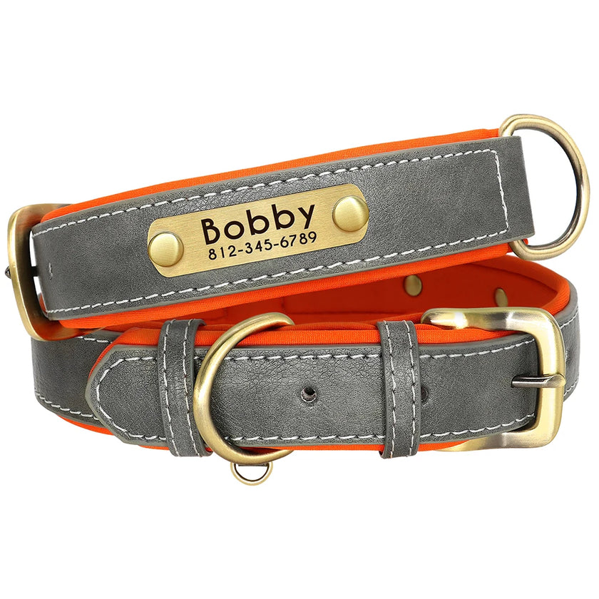 Hundhalsband & koppel
