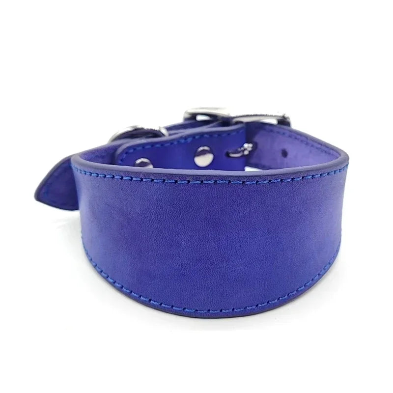 Brett hundhalsband
