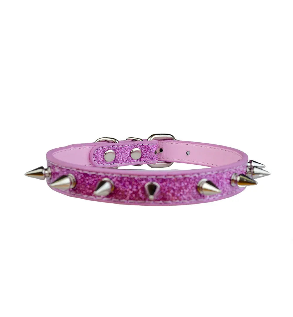 Glittrigt hundhalsband med nitar