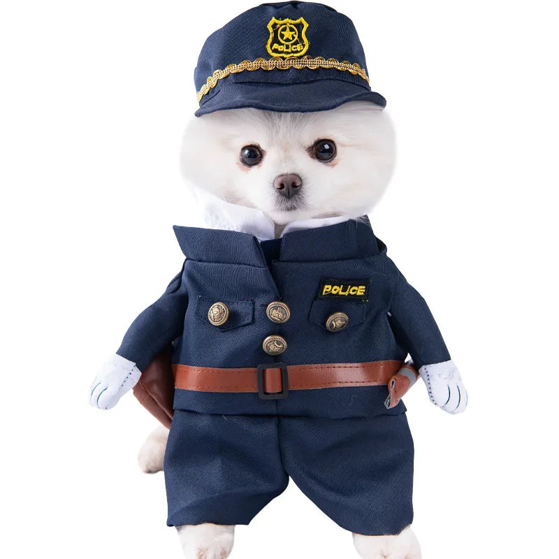 Halloween kostym för hund