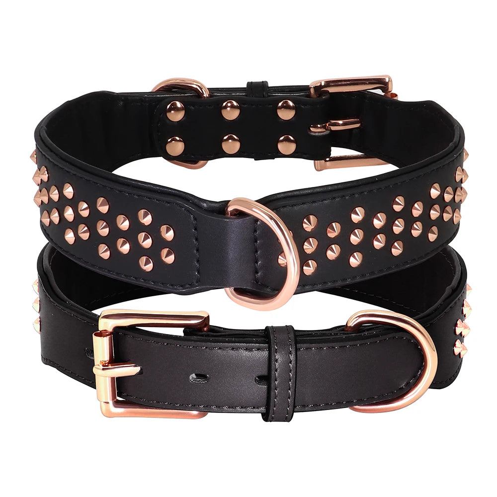 Hundhalsband med nitar