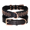 Hundhalsband med nitar