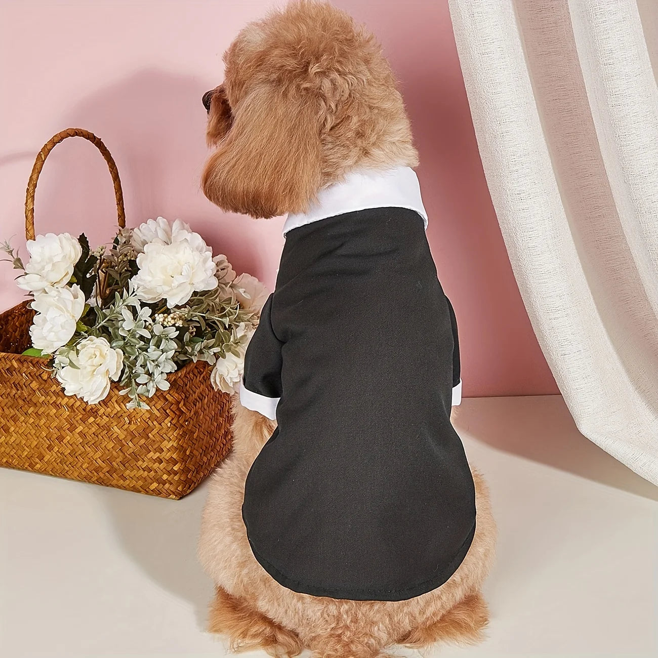 Kostym med fluga för liten hund