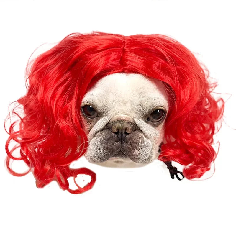 Peruk för hund