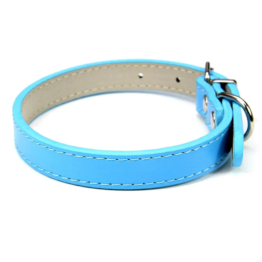 Hundhalsband