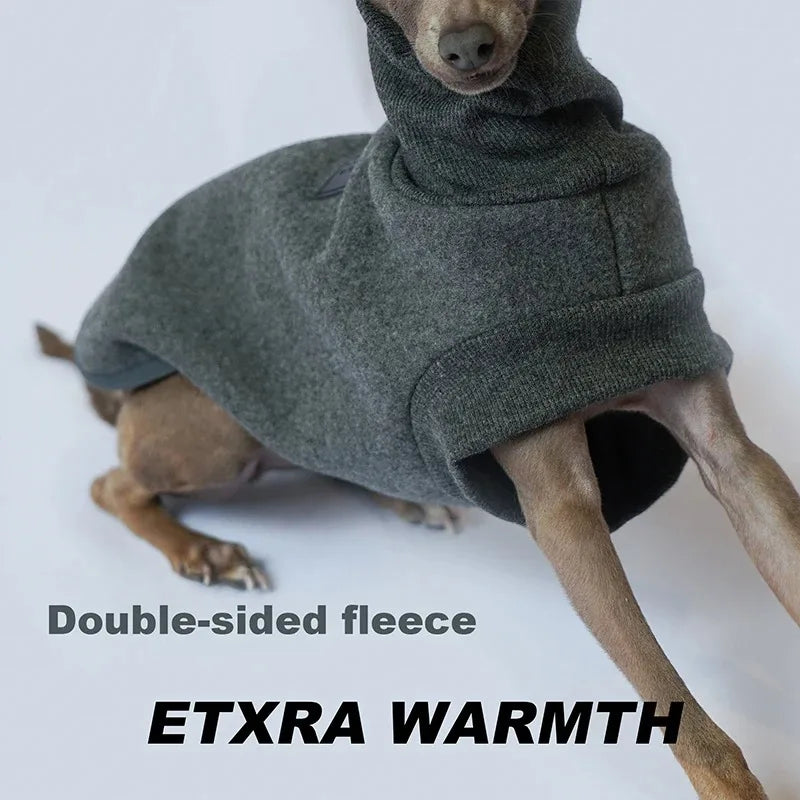 Polotröja för hund