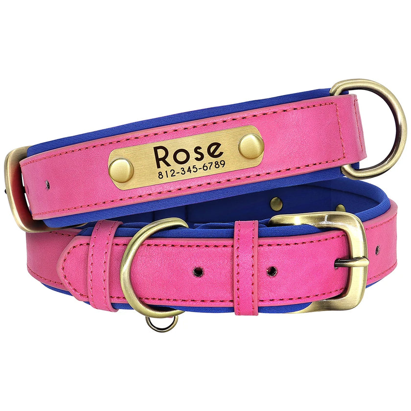 Hundhalsband & koppel