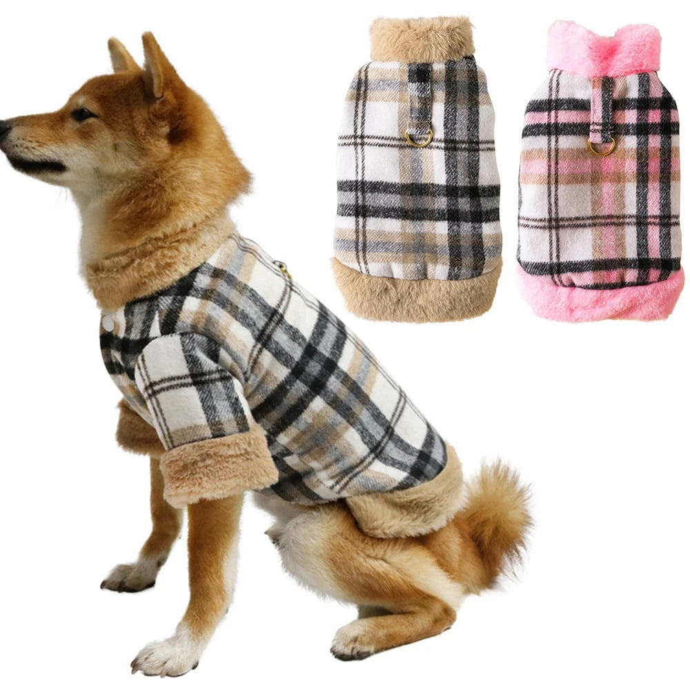 Rutig hundjacka