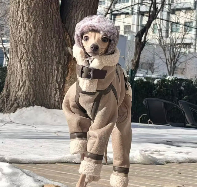 Vinterjacka för hund