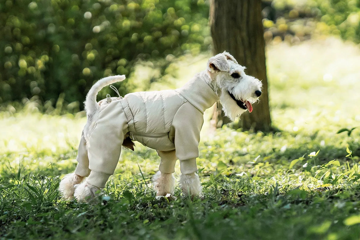 Tracksuit onesie för hund