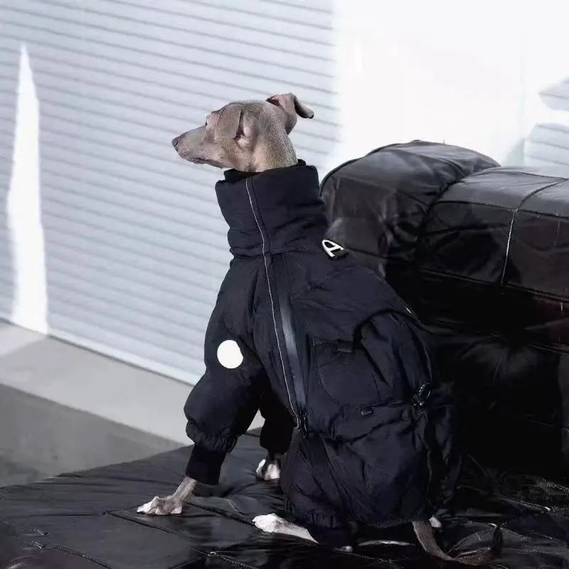 Vinteroverall för hund