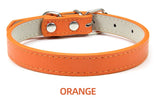 Hundhalsband