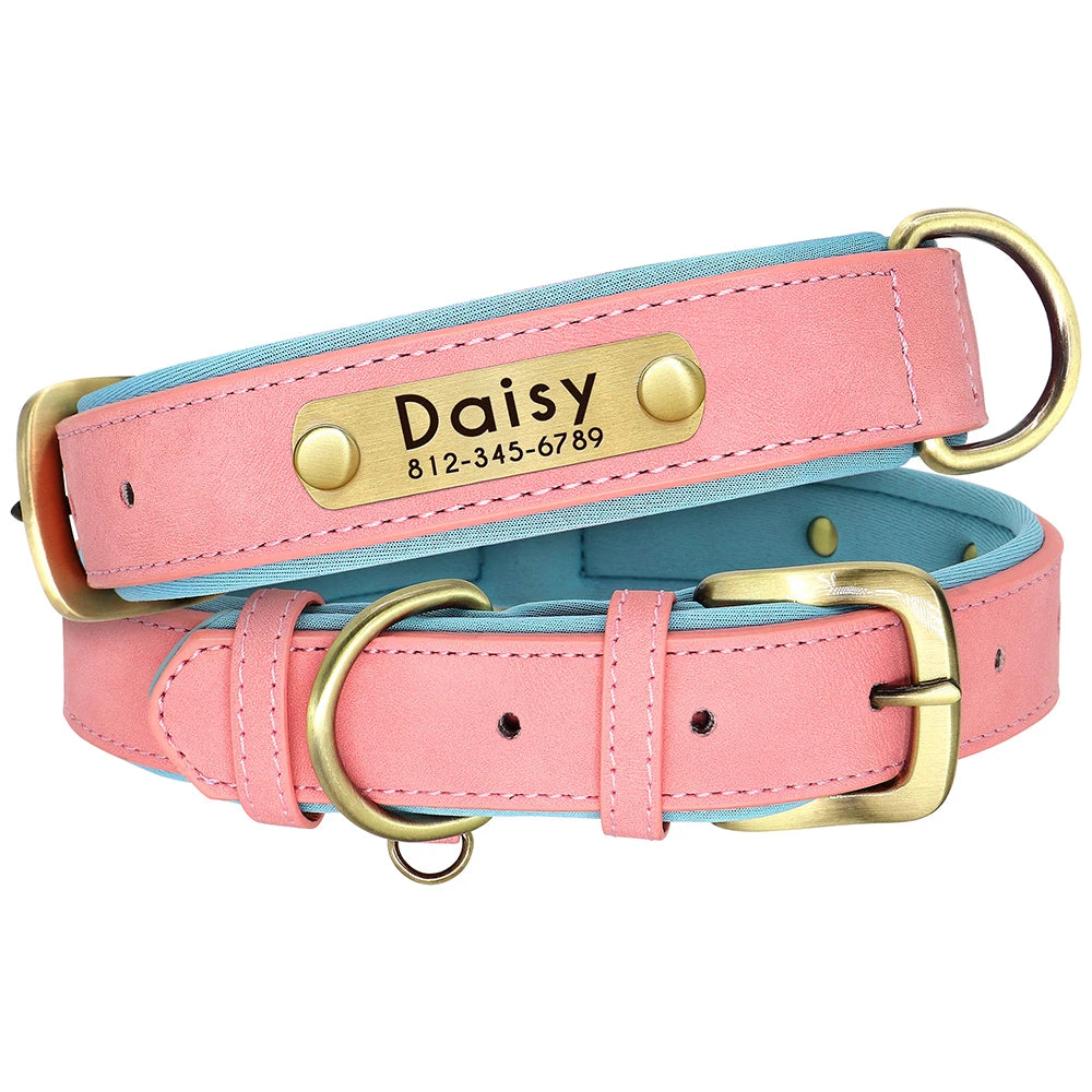 Hundhalsband & koppel