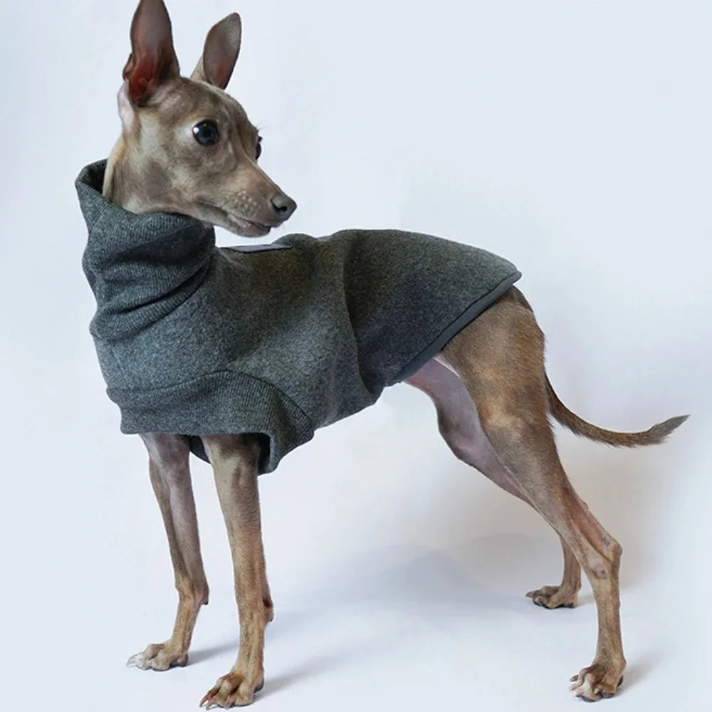 Polotröja för hund