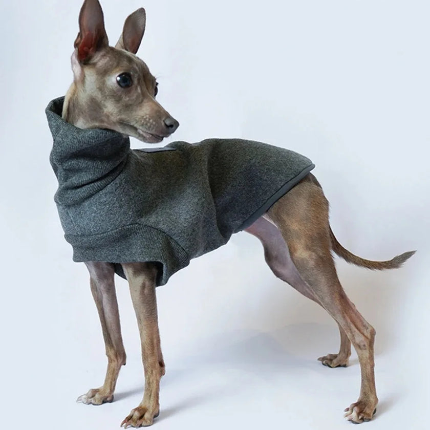 Polotröja för hund