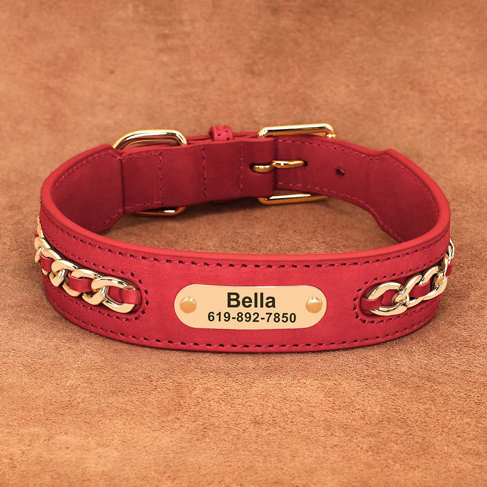 Hundhalsband med kedja
