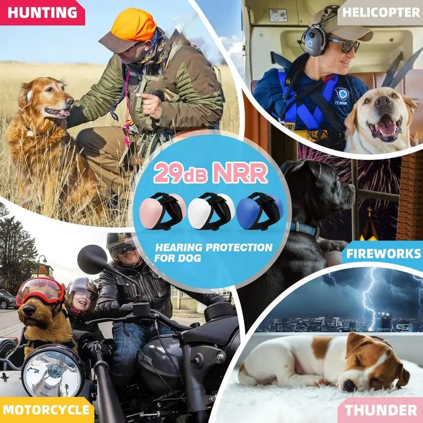 Hörselskydd för hund