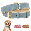 Hundhalsband
