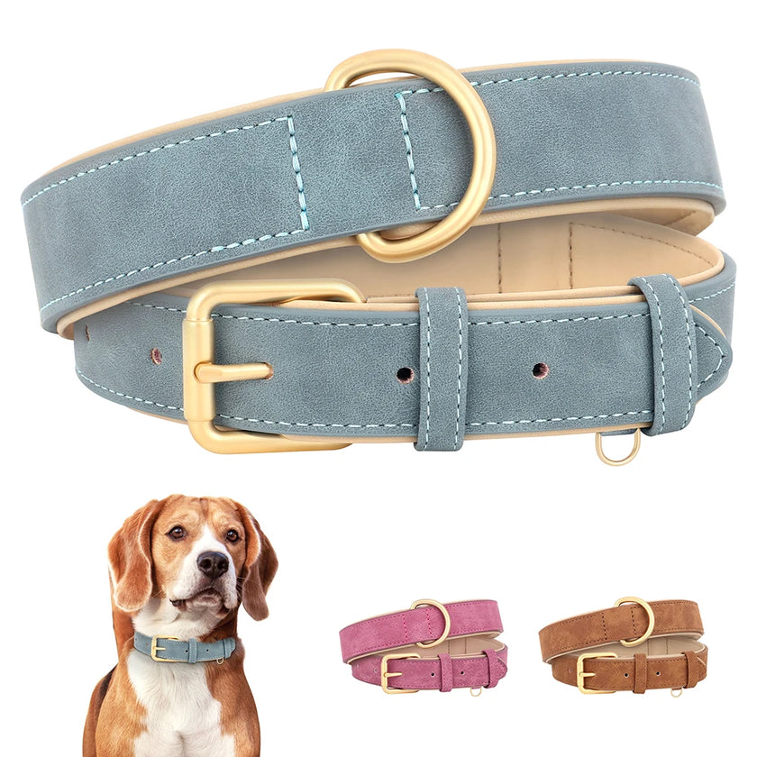 Hundhalsband