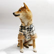Rutig hundjacka