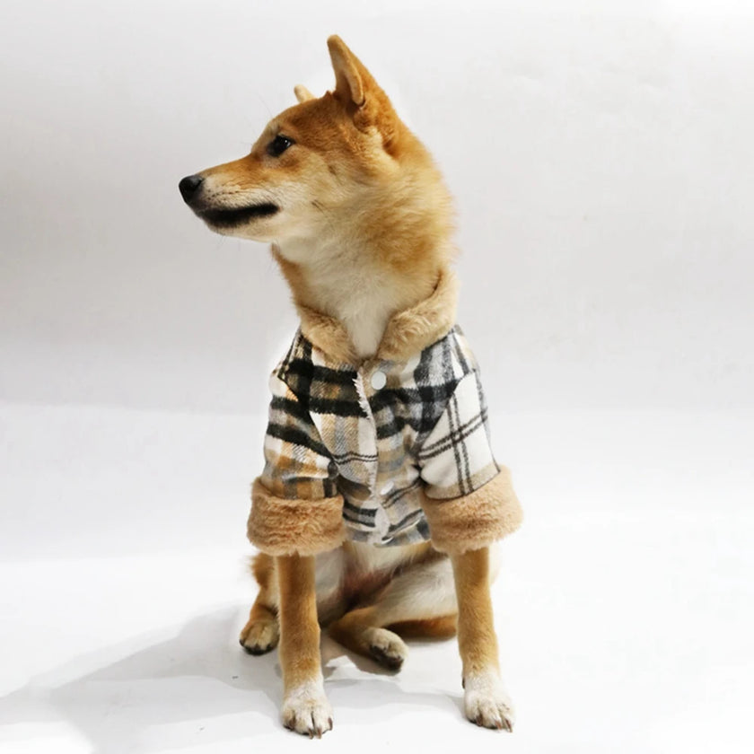 Rutig hundjacka
