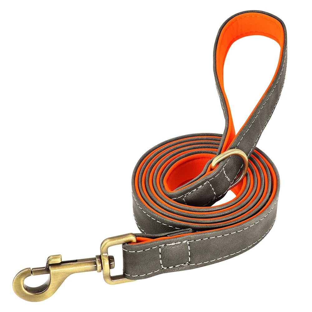 Hundhalsband & koppel