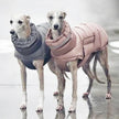 Hundjacka